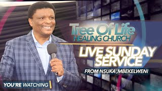 Tree of Life Healing Church -  Live Sunday Service 26 January  2025