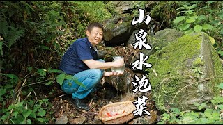 【火筵家常】做传统四川泡菜去原始森林干啥？这几种水才是做泡菜的首选