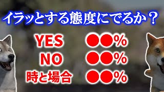 コロナ前後でイライラしている人へのアンケート調査結果