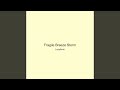 Fragile Breeze Storm