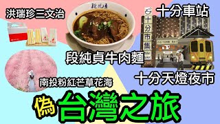 【偽台灣之旅】段純貞牛肉麵｜十分天燈夜市｜十分車站｜南投粉紅芒草花海｜洪瑞珍三明治