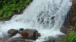 കാട്ടരുവി / വെള്ളച്ചാട്ടം (Waterfalls)