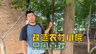 旅游主播转三农类了吗，自驾旅行四年暂停，开始回家打造农村小院 | 用青春去旅行