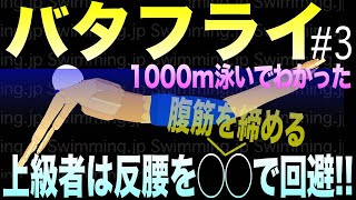 水泳 バタフライの泳ぎ方 上級者は反腰を◯◯で回避していた！