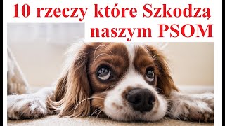 10 rzeczy które SZKODZĄ naszym PSOM