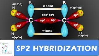 SP2 Hybridization