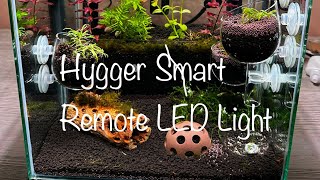 Hygger Smart Remote LED Aquarium Light Review