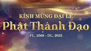 ĐÊM NHIỆM MÀU / ĐÂY LÀ CHÙA NÀO THẾ NHỈ ?