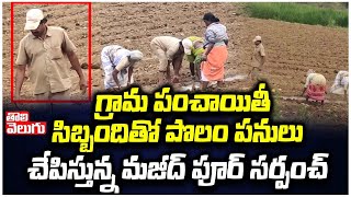 గ్రామ పంచాయితీ సిబ్బందితో పొలం పనులు చేపిస్తున్న మజీద్ పూర్ సర్పంచ్ | Majeedpur Sarpanch