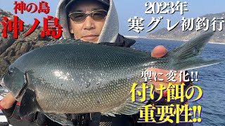 【釣り　沖ノ島】シーズン真っ只中寒グレ❕餌取りをかわす方法とは⁉