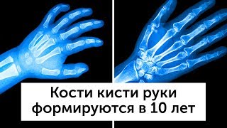 24 факта, которые делают ваше тело особенным