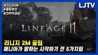 리니지2M 시작하기 전 필수 꿀.TIP 5가지! (서버,직업선택 등)