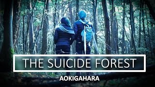 Into The Suicide Forest