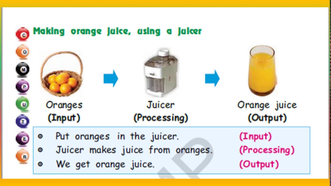Input Processing Output Examples