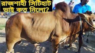 #রাজশাহী_সিটিহাট। ভাই কত নিলো?। ছোট ও মিডিয়াম গরু প্রচুর বিক্রি। ০৮/০৬/২০২২ শুক্রবার। #cityhat