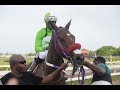 JAMAICA RACING: Mack And Rome Delivers At 5-1 In Sat, July 20, 2024, 9th