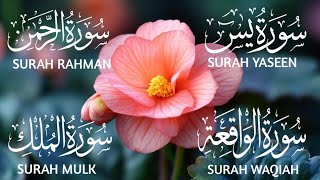 Surah Yaseen/Surah Rahman/Surah Waqiah /Surah Mulk Beautiful Recitation Heart Touching