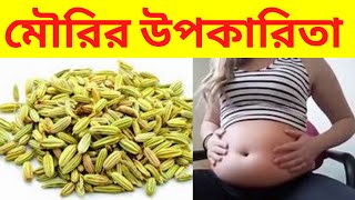 মৌরির উপকারিতা ও গুণাগুণ || মৌরির উপকারিতা এবং অপকারিতা || মৌরির ১১টি ওষধি গুনাগুণ সম্পর্কে জেনে নিন