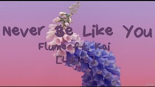 Flume - Never Be Like You [Lyrics]