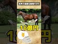 【衝撃】世界で高級な動物ランキングトップ3 shorts 動物 雑学