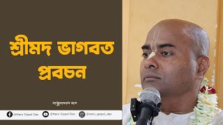 Srimad Bhagavatam Class || শ্রীমদ ভাগবত প্রবচন || Naru Gopal Prabhu