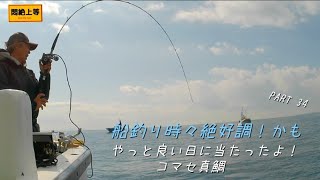 2025年2月17日 練習中 剣崎からコマセ真鯛。良い日に当たりました！誤字脱字多めです。# #コマセ真鯛釣り #真鯛釣り #一義丸 #船釣り #釣り #SHIMANO #akasobrave7le