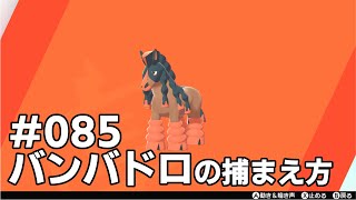 バンバドロを探している方に見てほしい動画