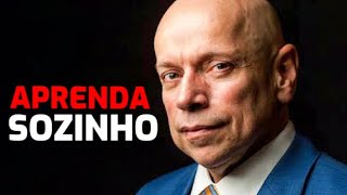 APRENDA A SER SOZINHO ● Leandro Karnal