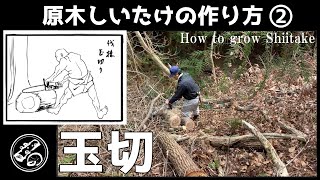 原木しいたけの作り方②～玉切り～