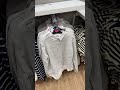 primark shop with me women’s clothing spring summer 2024 ladies