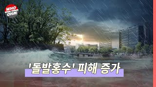 '심각한 기후변화' 세계 각지에서 '돌발홍수', 미국에서만 피해 규모 32조 육박 [경제뉴스]