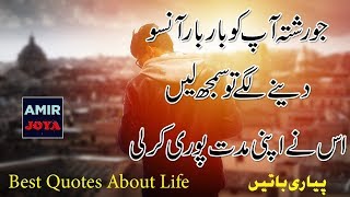 Amazing Quotations ||  Life Changing Quotes ||  Best Urdu Quotes