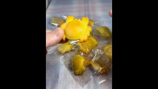 我明天到底要不要出门呀？#深夜偷吃 #办公室美食 #美食趣胃计划