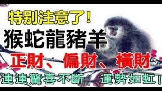 （猴 蛇 龍 豬 羊）正財、偏財、橫財連連驚喜不斷，運勢如虹【人生感悟】