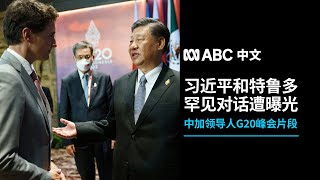 习近平与特鲁多G20罕见私人对话谈了什么？丨ABC中文
