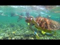 The best snorkeling of my life in Caye Caulker Belize