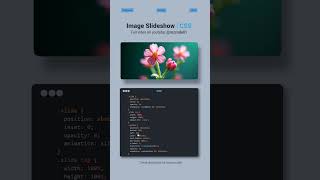 Create a STUNNING CSS Image Slideshow (No JavaScript!) 🔥#csstips #cssshorts #css