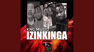 Izinkinga