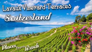 Lavaux: Switzerland's Wine Paradise