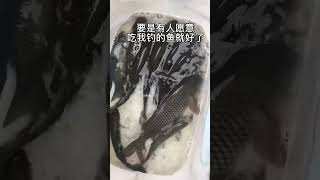 野钓两小时钓了七八斤，手都拉软了！我一个单身女钓友也吃不完，只好放生了！要是有人愿意吃我的鱼就好了…#钓鱼 #野钓 #户外钓鱼  #fishing