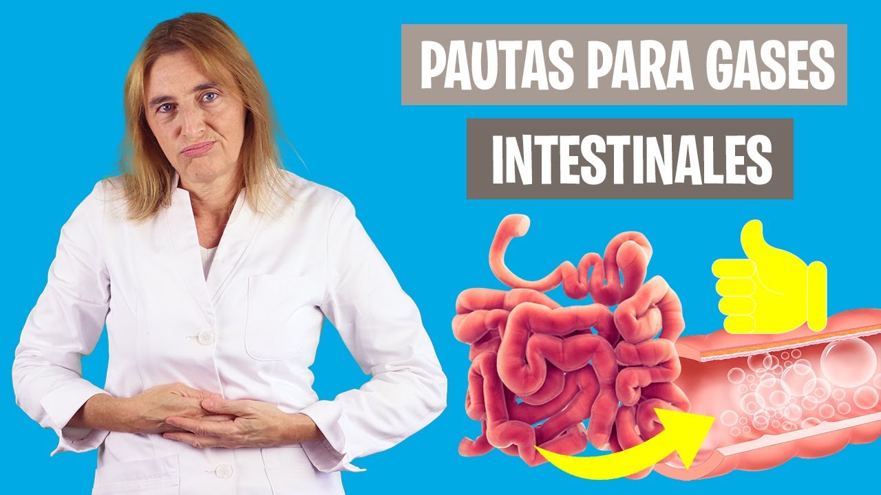 CÓMO SOLUCIONAR Los GASES INTESTINALES | Mejora La Inflamación ...