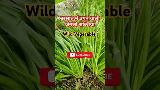 बरसात में उगने वाली जंगली सब्जियां। Wild Vegetable #farming #plants #vegetables #village #shorts