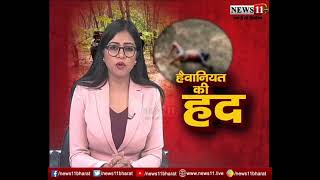 रामगढ़ में हैवानियत की हद... देखिये पूरी REPORT