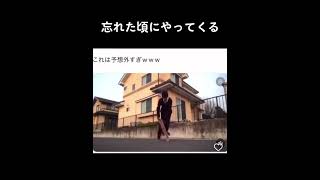 【TikTok】スケボー少年の最後がヤバいｗｗｗｗｗｗｗｗｗｗ　#shorts #ボケとツッコミ #爆笑 #tiktok