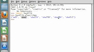 Python [hashlib] 02 Algorithms
