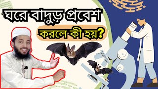 ঘরে বাদুর আসলে কি হয় ইসলাম কি বলে | বাদুর ঘরে ঢুকলে কি হয় | badur | study tips 2