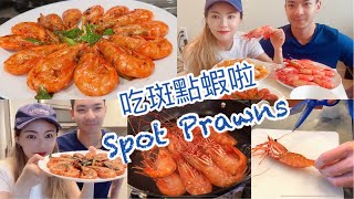 [VLOG]温哥华斑点虾季节开吃啦！Spot prawns season Cooking at home