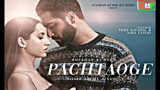 Pachhtaoge | Arijit Singh, Nora Fatehi |Vicky Kaushal ,Jaani B Praak || ShaileshMishraFilms