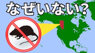 アルバータ州にだけネズミがいない理由がこちら【解説動画】