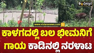 ಕಾಡಾನೆ ನೋವ ಕಂಡು ಬೈನೆ ಸೊಪ್ಪು ಹಾಕಿದ ಸ್ಥಳೀಯರು | Bheema Elephant Case In Hassan | Vistara News